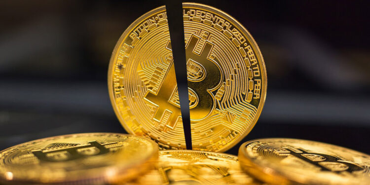 Bitcoin enflasyona karşı dirençli bir dijital varlık halini alıyor