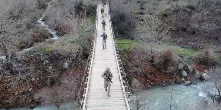 Bitlis'te PKK'nın kış üslenmesine operasyon