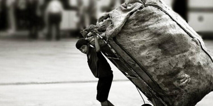 Çek çekçilerin taşıdıkları yükler