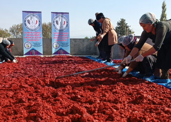 Depremzede kadınlar, üreterek hayata tutunuyor