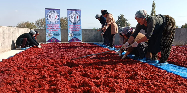 Depremzede kadınlar, üreterek hayata tutunuyor