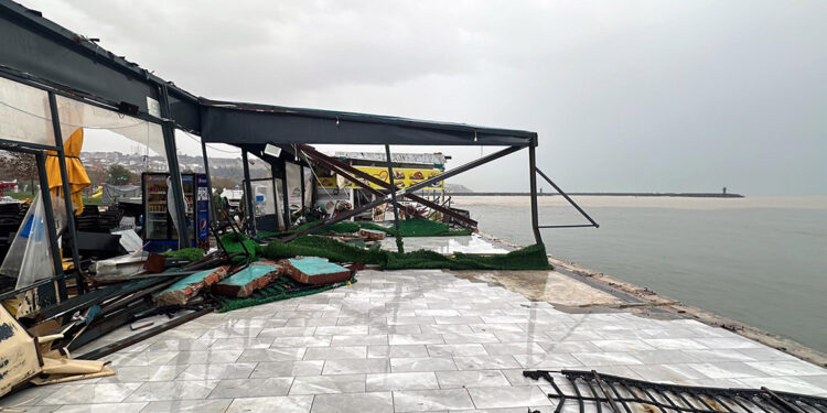 Doğayla barışık yaşam alanları oluşturmak zorundayız