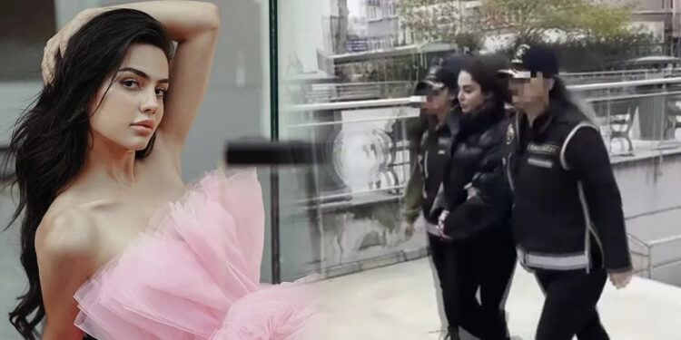 Ece Ronay soruşturmasında yeni detaylar