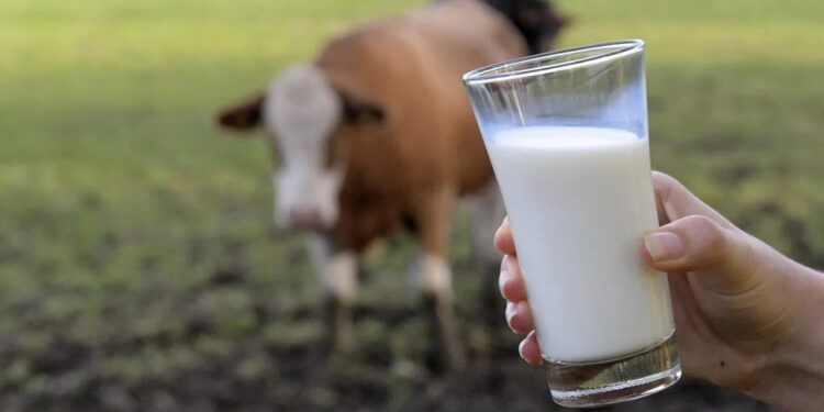 Ekimde yumurta üretimi ve inek sütü miktarı arttı