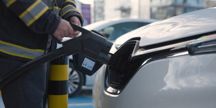 Enerjisa Dağıtım Şirketleri, elektrikli araç filosunu devreye aldı 