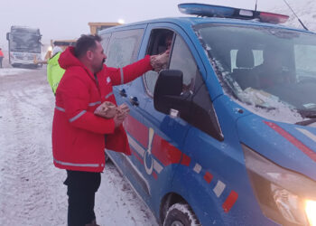 Erzurum ve Kars'ta kar yağışı etkili oldu
