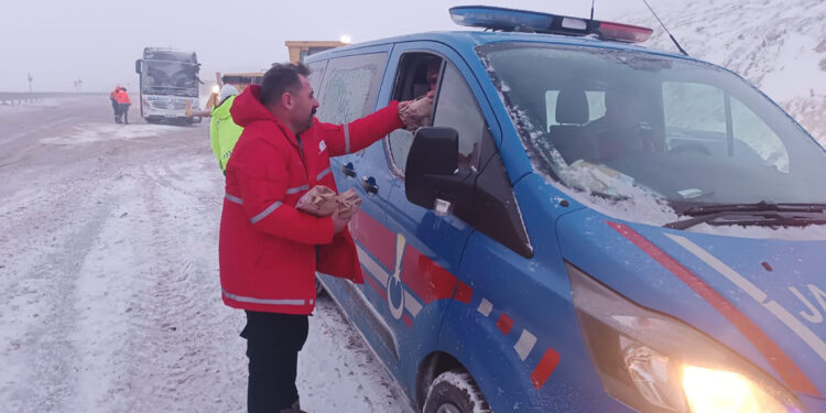 Erzurum ve Kars'ta kar yağışı etkili oldu