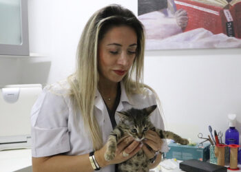 Evcil hayvan alerjisini aşıyla yendi, veteriner oldu