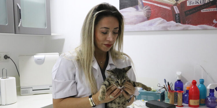 Evcil hayvan alerjisini aşıyla yendi, veteriner oldu