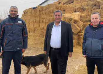 Et ve sütte tehlike çanları çalıyor