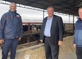 Ahırda dert var kasapta zam