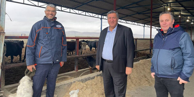 Ahırda dert var kasapta zam