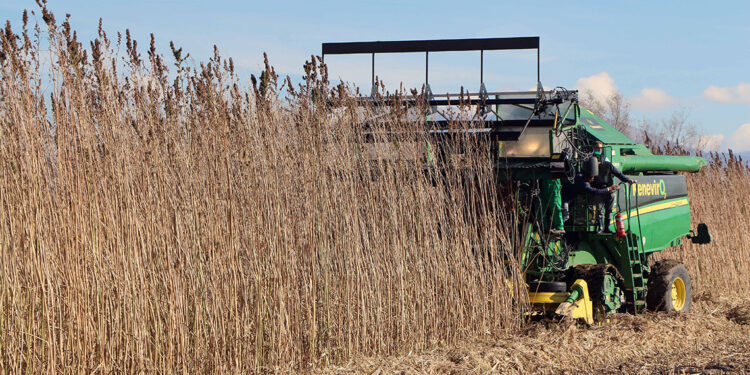 Gıda için yatırım yapmak, büyük kazançlar sağlayacak