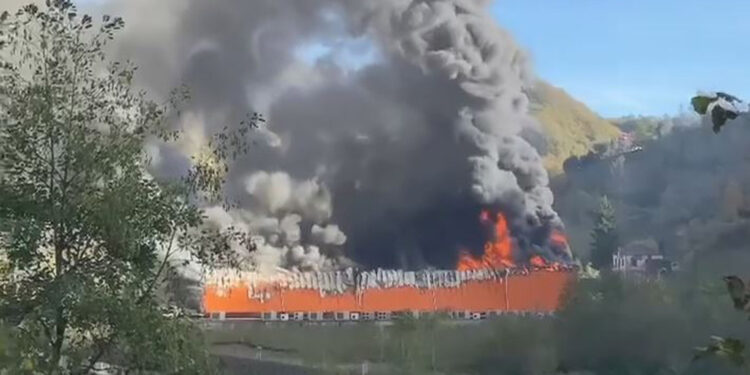 Giresun’da balık fabrikasında yangın