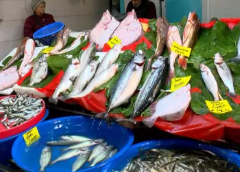 İstanbul'da balık fiyatları: kar yağarsa daha da düşecek