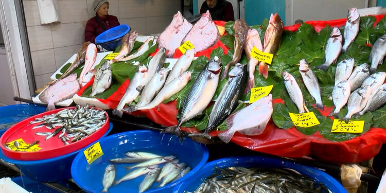 İstanbul'da balık fiyatları: Kar yağarsa daha da düşecek