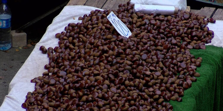 İstanbul'da pazarda Çin kestanesi denetimi