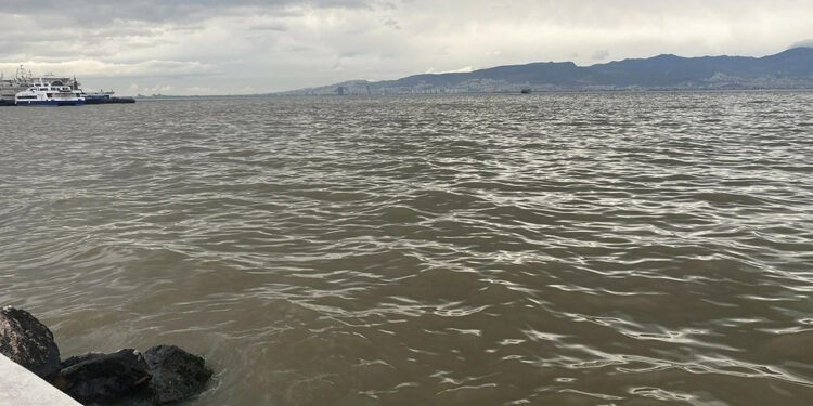 İzmir'de sağanak; körfez çamur rengine büründü