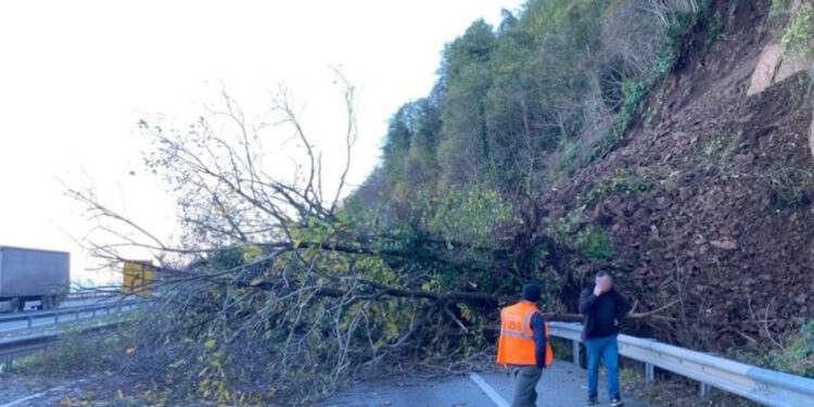 Karadeniz Sahil Yolu'nda heyelan