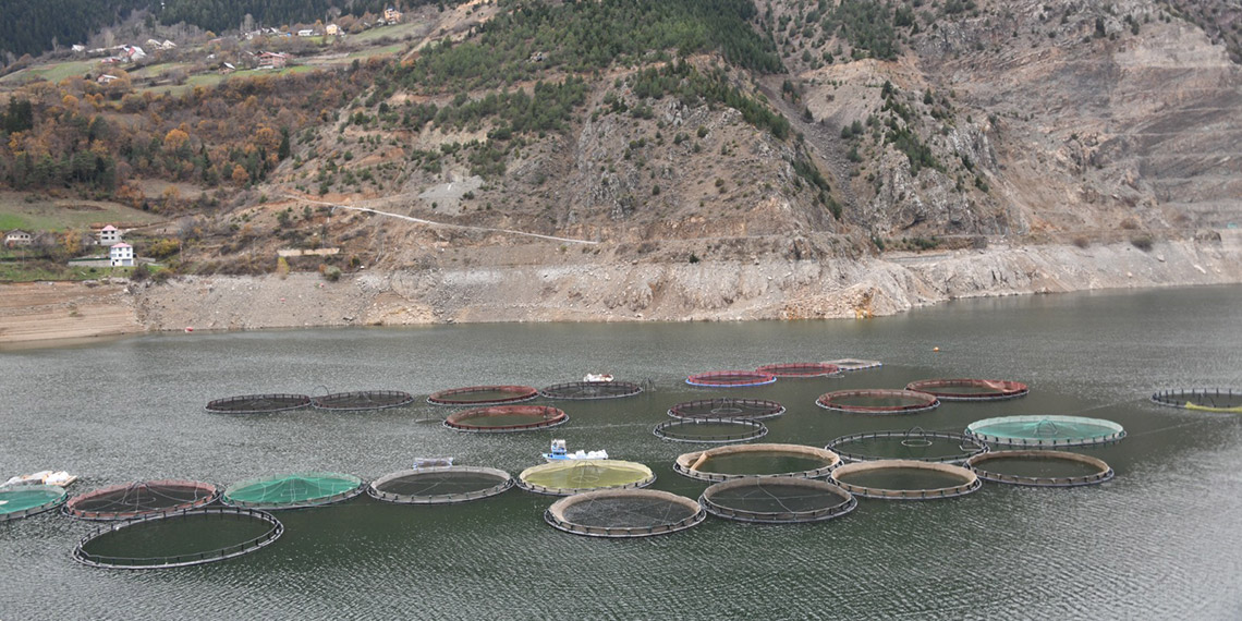 Karadeniz Türk somonu ihracatı 2 milyar dolara çıktı