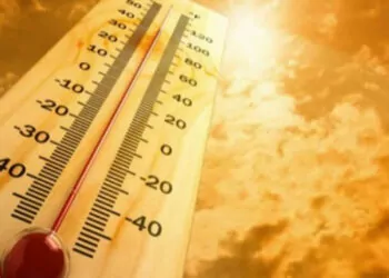 Kasımda, 67 merkezde ekstrem sıcaklık rekoru kırıldı