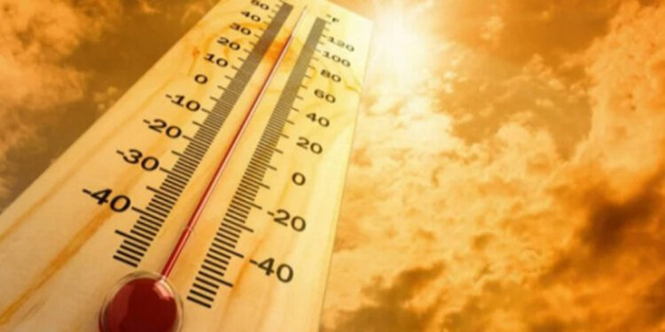 Kasımda, 67 merkezde ekstrem sıcaklık rekoru kırıldı