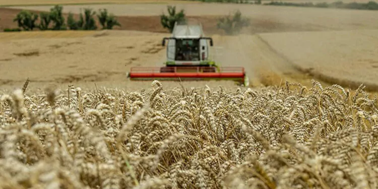 Kasımda tarım üretici enflasyonu yüzde 50,47 oldu