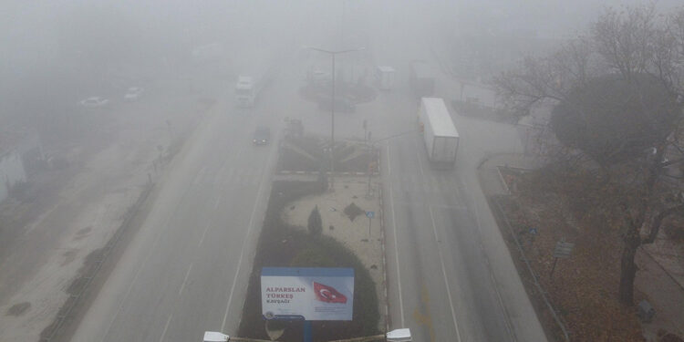 Manisa'da sis etkili oldu