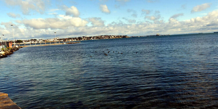 Marmara Denizi'nde su sıcaklığı 50 yılda 2,5 derece arttı