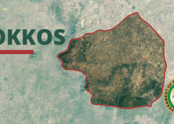 Nijerya'daki silahlı saldırıda ölü sayısı 140’ı geçti