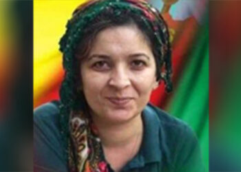 PKK'nın maliye yapılanması sözde sorumlusuna operasyon