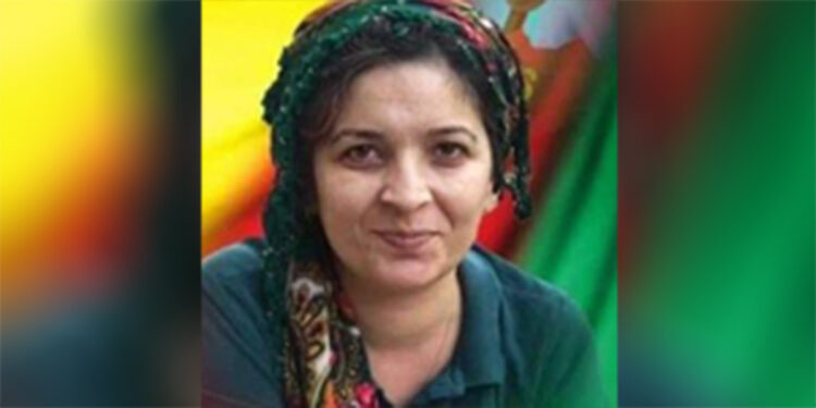 PKK'nın maliye yapılanması sözde sorumlusuna operasyon