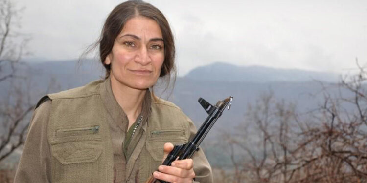 PKK'nın sözde cephane sorumlusu etkisiz hale getirildi