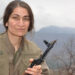 PKK'nın sözde cephane sorumlusu etkisiz hale getirildi