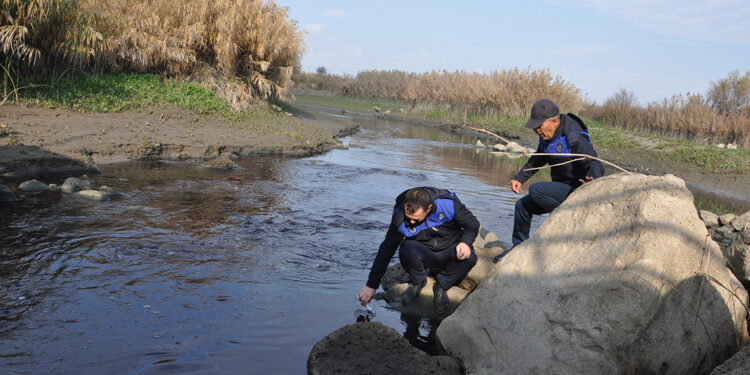 Rengi siyaha dönen Karasu Çayı'nde inceleme