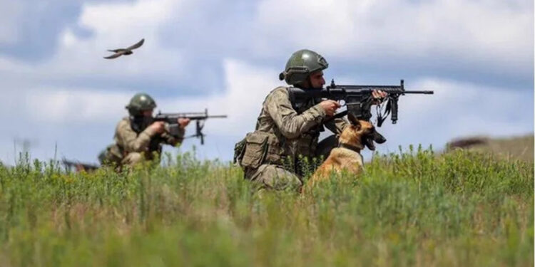 Saldırı hazırlığında olan 2 terörist etkisiz hale getirildi