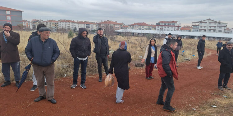 Sokak köpeklerinin saldırdığı çocuk ağır yaralandı