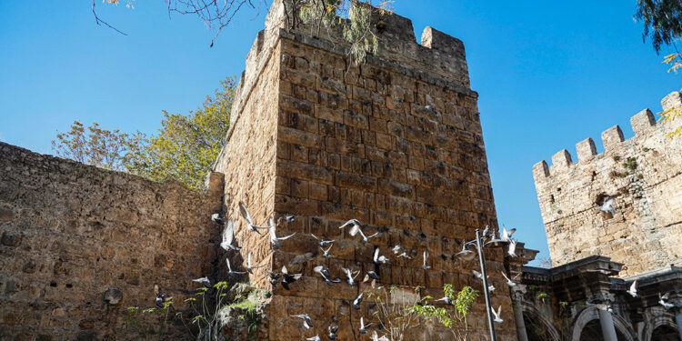 Tarihi Üçkapılar'a 'güvercin dışkısı' zararı