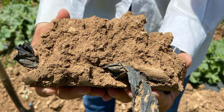 Tarım arazilerinde 'mikroplastik' tehlikesi