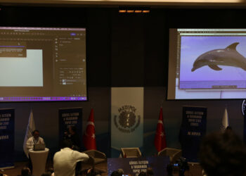 Yapay Zeka Zirvesi'nde insan yapay zekâya karşı yarıştı