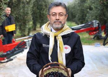 Zeytin üzerinden yapılan spekülasyonlara itibar etmeyin