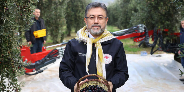 Zeytin üzerinden yapılan spekülasyonlara itibar etmeyin