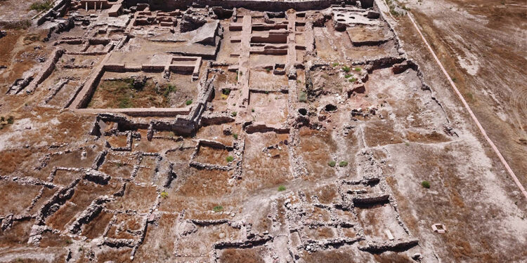 Anadolu'nun ilk yazılı tabletlerinin bulunduğu Kültepe'de bitkiler inceleniyor