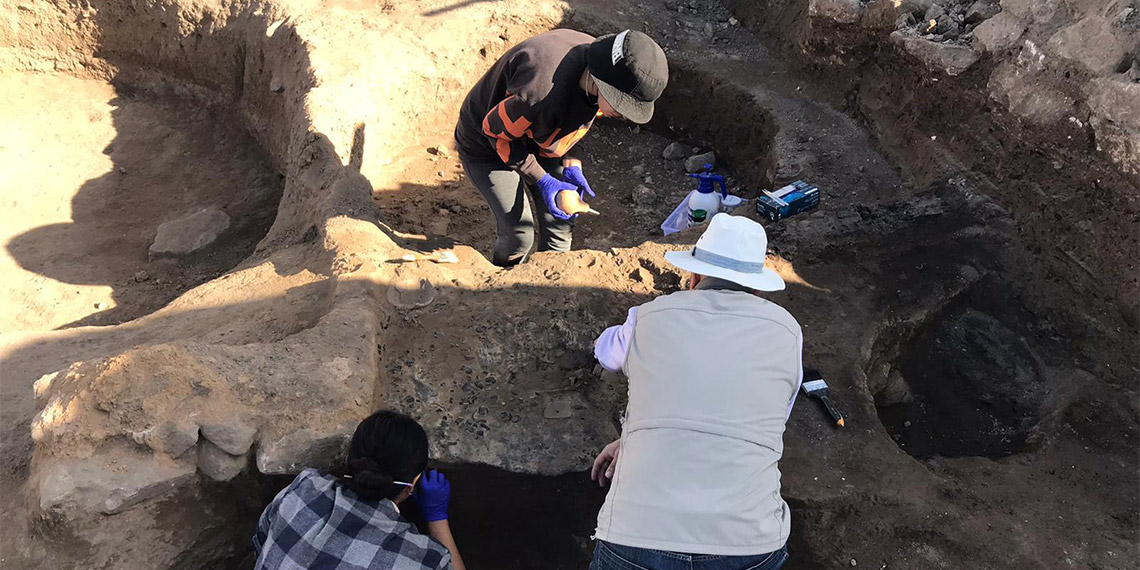 Tarihi 6 bin yıl öncesine dayanan, Anadolu'nun ilk yazılı tabletlerinin bulunduğu Kültepe Kaniş Karum Ören Yeri'nde, kazı çalışmalarında ortaya çıkan birçok bitki türü yerli ve yabancı uzmanlar tarafından incelenerek, bilim dünyasına katkı sağlanıyor.