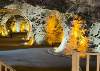 Astım bronşit ve KOAH hastalarına iyi geliyor