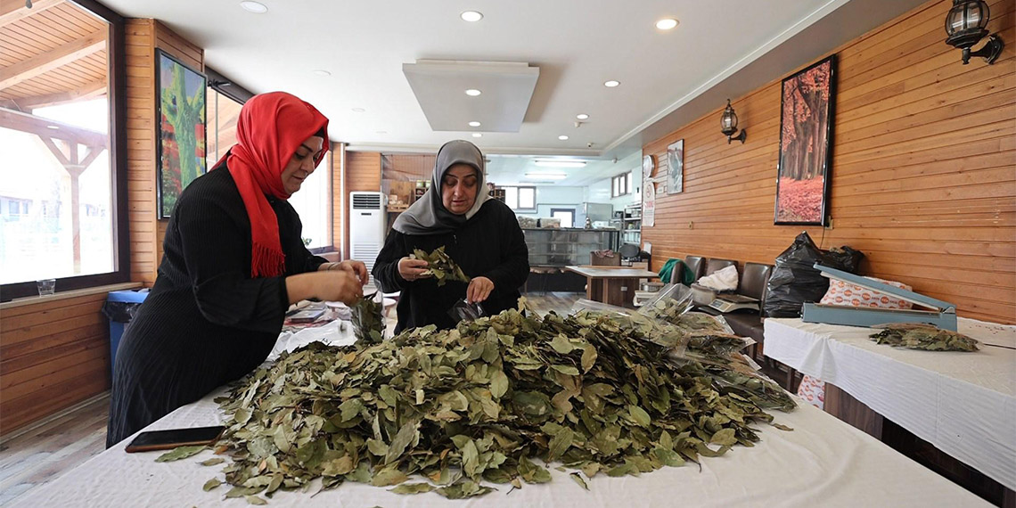 AOÇ'den kadın kooperatifleri ve üretici birliklerine destek