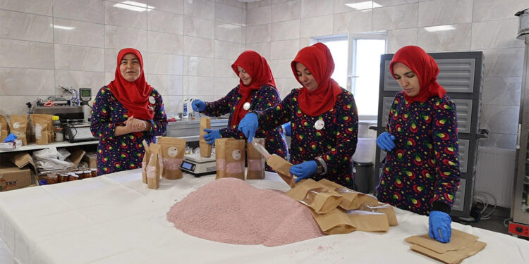 AOÇ'den kadın kooperatifleri ve üretici birliklerine destek