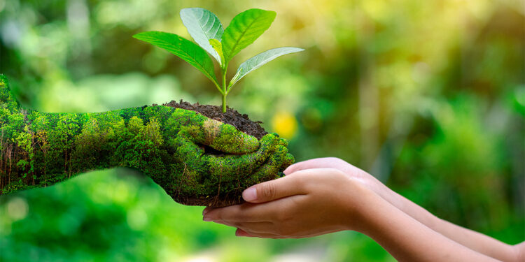 Çevre koruma harcamaları 2022'de arttı