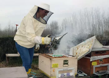 Arı korkusunu yenip arı yetiştiriciliği yaparak bal üretimine başladı