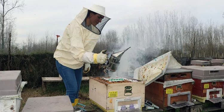 Arı korkusunu yenip arı yetiştiriciliği yaparak bal üretimine başladı